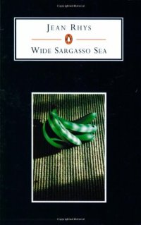 cover of the book Wide Sargasso Sea  