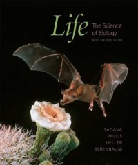 cover of the book Life: The Science of Biology, 9th Edition  