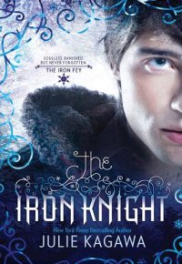 cover of the book The Iron Knight  