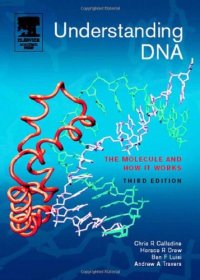 cover of the book Understanding DNA-The Molecule and How It Works