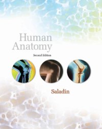 cover of the book Human Anatomy