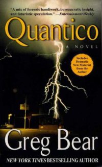 cover of the book Quantico  