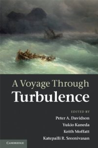 cover of the book A Voyage Through Turbulence  