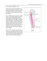 cover of the book WHO Standard Acupuncture Point Locations in the Western Pacific Region part 3  