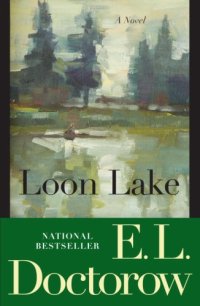 cover of the book Loon Lake    