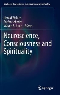 cover of the book Neuroscience, Consciousness and Spirituality