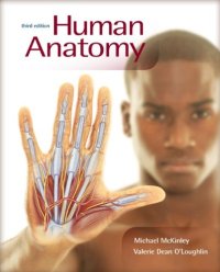 cover of the book Human Anatomy, 3rd Edition    