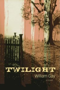 cover of the book Twilight    