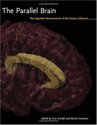 cover of the book The parallel brain: the cognitive neuroscience of the corpus callosum