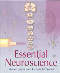 cover of the book Essential Neuroscience