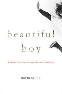 cover of the book Beautiful Boy: A Father's Journey Through His Son's Addiction