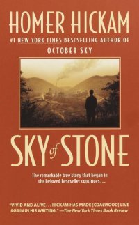 cover of the book Sky of Stone