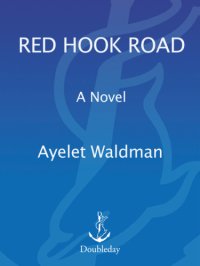 cover of the book Red Hook Road