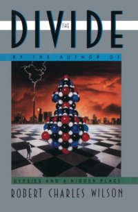 cover of the book The Divide