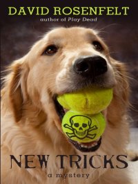 cover of the book New Tricks (Thorndike Core)