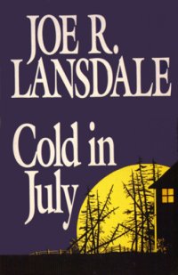 cover of the book Cold in July