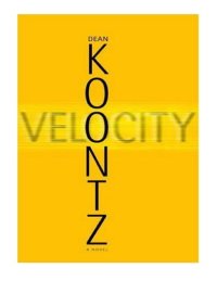 cover of the book Velocity