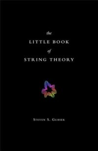 cover of the book The Little Book of String Theory (Science Essentials)