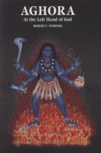 cover of the book Aghora: at the left hand of God