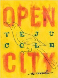 cover of the book Open City