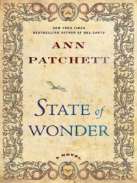 cover of the book State of Wonder