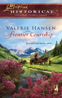 cover of the book Frontier Courtship