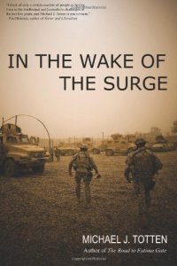 cover of the book In the Wake of the Surge