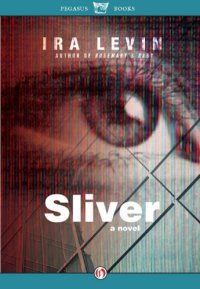 cover of the book Sliver