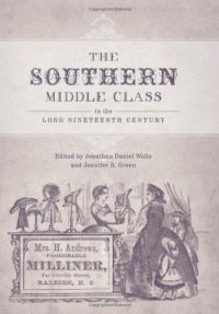 cover of the book The Southern Middle Class in the Long Nineteenth Century