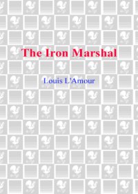 cover of the book The Iron Marshal