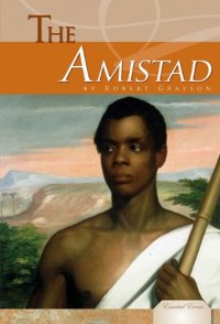 cover of the book The Amistad