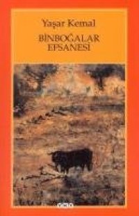 cover of the book Binbogalar Efsanesi