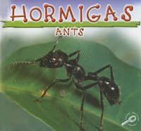 cover of the book Hormigas Ants