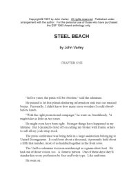 cover of the book Steel Beach