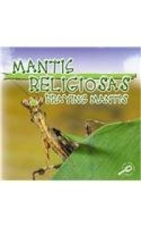 cover of the book Mantis Religiosas - Praying Mantises