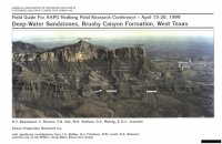 cover of the book Deep-water sandstones, Brushy Canyon Formation, West Texas (AAPG Course Notes 40)