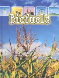 cover of the book Biofuels