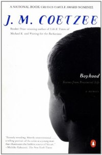 cover of the book Boyhood: scenes from provincial life