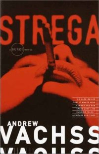 cover of the book Strega