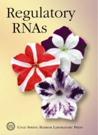 cover of the book Regulatory RNAs