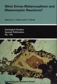 cover of the book What drives metamorphism and metamorphic reactions?