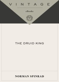 cover of the book The Druid King