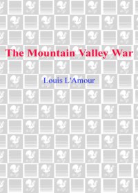 cover of the book The Mountain Valley War: Kilkenny Series, Book 2