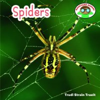 cover of the book Spiders