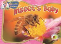 cover of the book Insect's Body