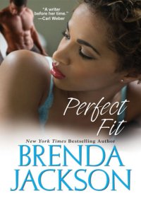 cover of the book Perfect Fit   