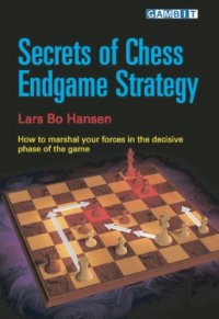 cover of the book Secrets of Chess Endgame Strategy