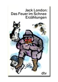 cover of the book Das Feuer im Schnee