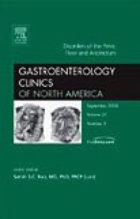 cover of the book Disorders of the Pelvic Floor and Anorectum, An Issue of Gastroenterology Clinics (The Clinics: Internal Medicine)