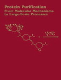 cover of the book Protein Purification. From Molecular Mechanisms to Large-Scale Processes